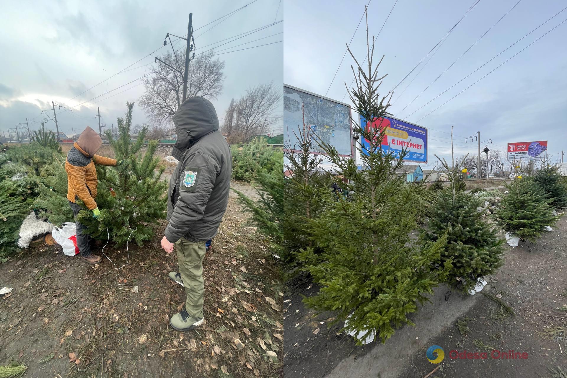 В Одесі на торговця ялинками, який продавав дерева без бирок, склали адмінпротокол