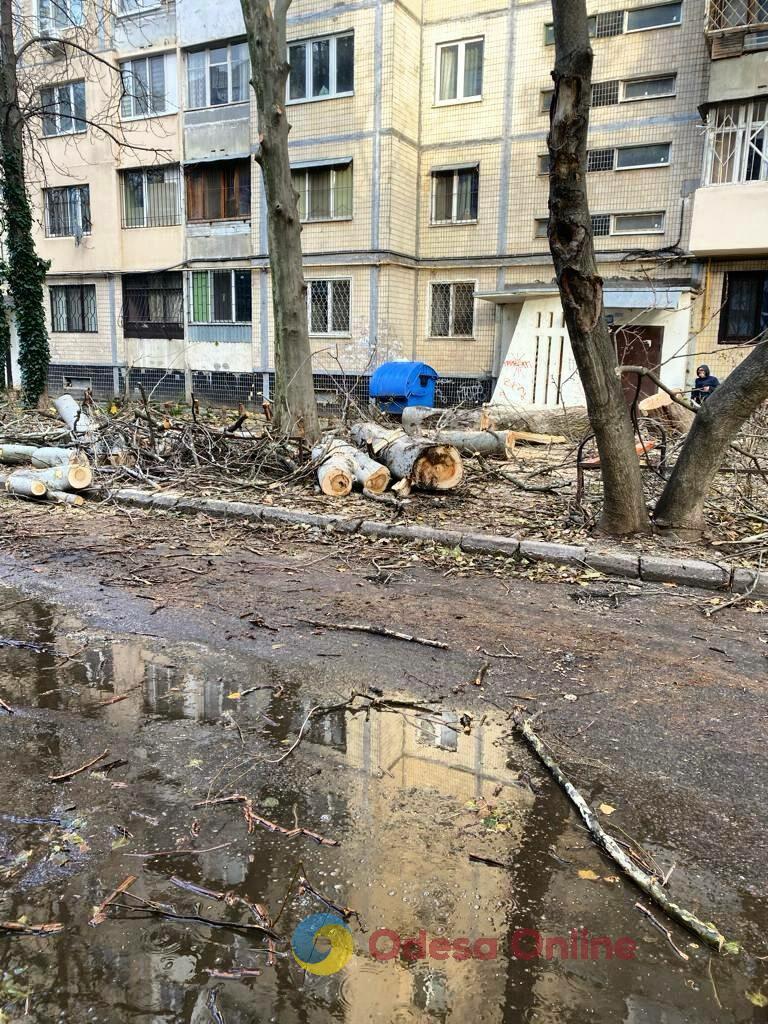 В Одессе продолжают ликвидировать последствия ноябрьского урагана (фото)