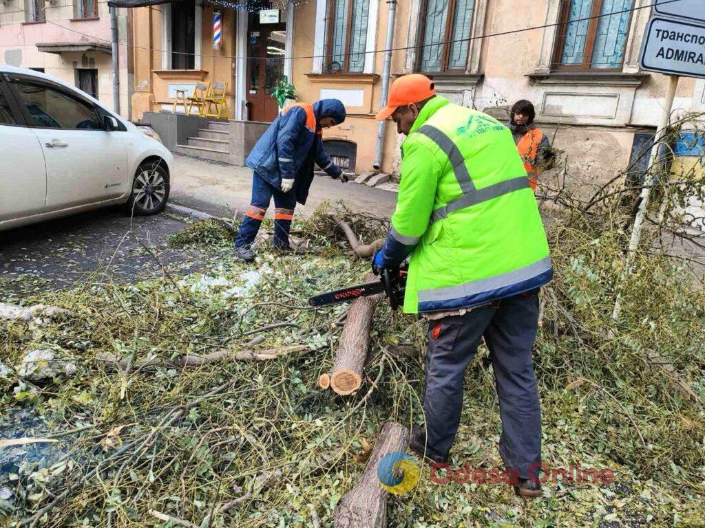 В Одессе продолжают ликвидировать последствия ноябрьского урагана (фото)