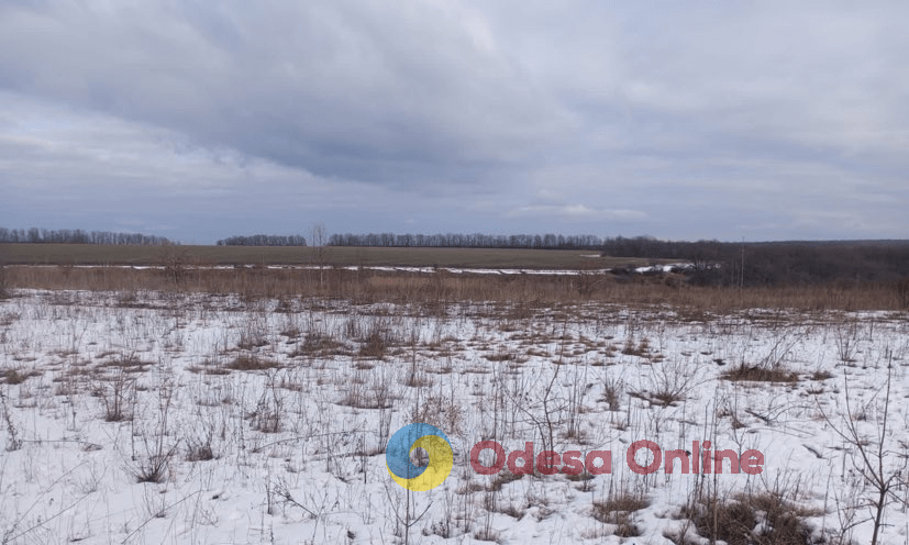 В Одесской области изъяли у коммерсантов земли стоимостью 609 миллионов гривен