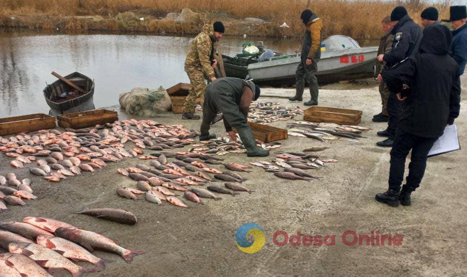 Двое браконьеров наловили на озере Кугурлуй рыбы на 1,5 млн гривен