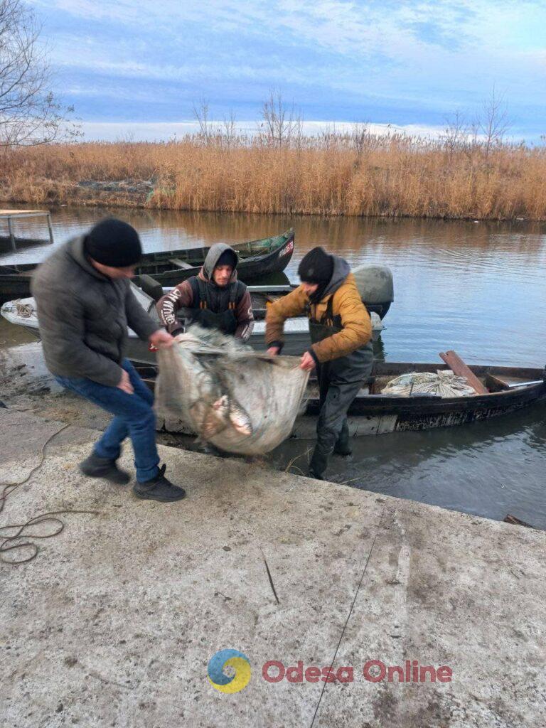 Двое браконьеров наловили на озере Кугурлуй рыбы на 1,5 млн гривен