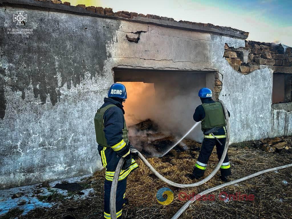 Одещина: рашисти вдарили «Оніксами» по приміщення для утримання худоби та заготівлі сіна (відео)