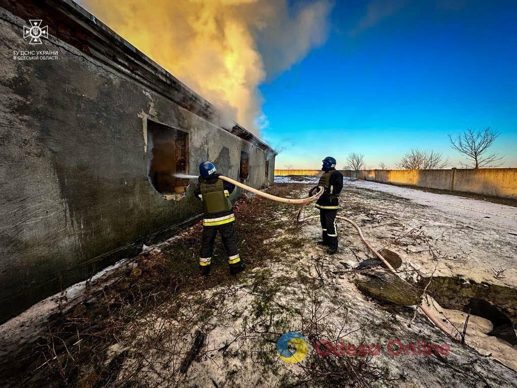 Одещина: рашисти вдарили «Оніксами» по приміщення для утримання худоби та заготівлі сіна (відео)