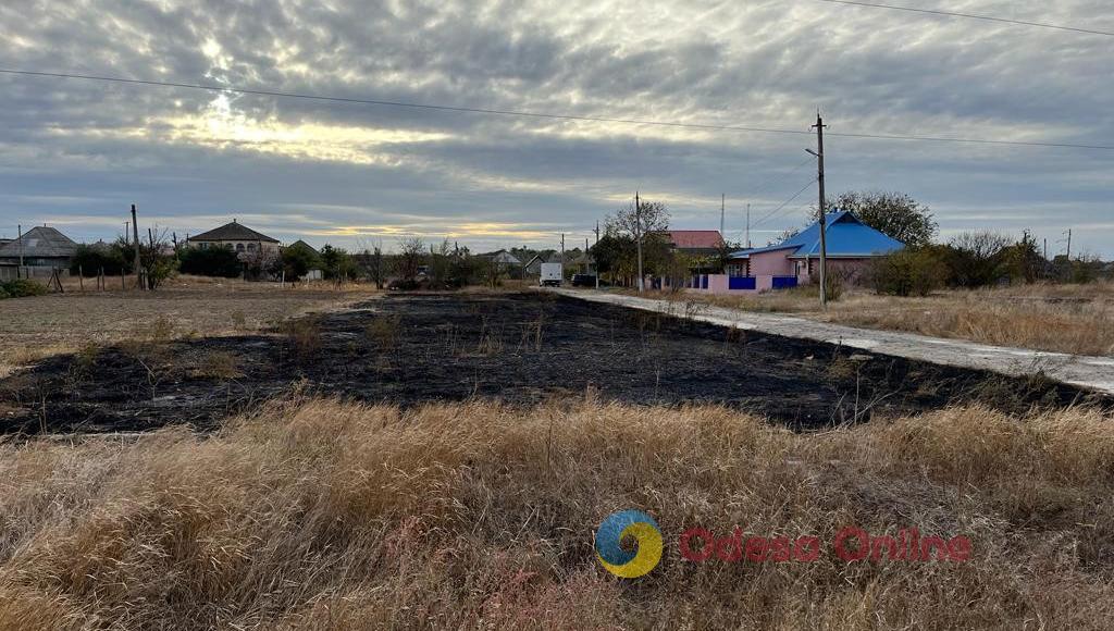 Житель Одеської області палив суху траву та мало не спалив житлові будинки