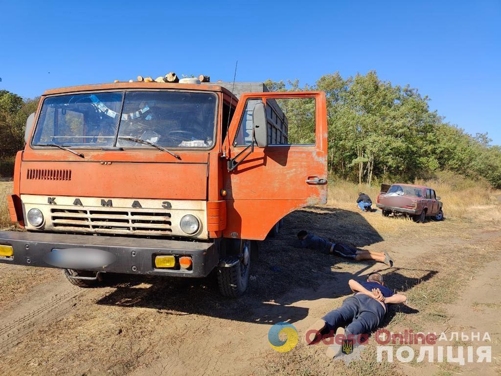 Масштабні вирубки у заповідній зоні: на Одещини судитимуть групу «чорних» лісорубів