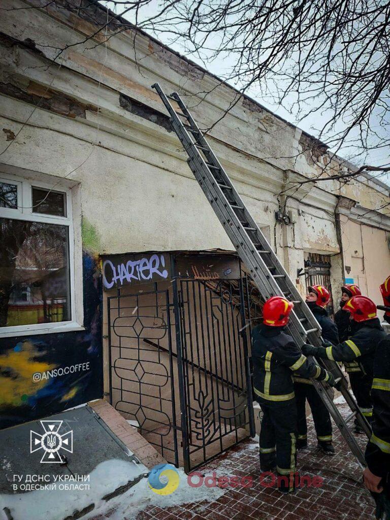 В Одесі рятувальники зняли кошеня з карнизу будинку