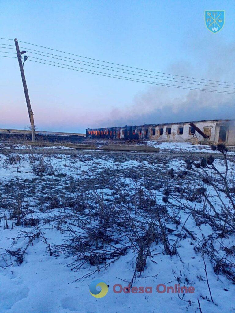 Одещина: рашисти вдарили «Оніксами» по приміщення для утримання худоби та заготівлі сіна (відео)