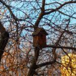 В Одесской области ожидают постепенное потепление со смешанными осадками и гололедицей