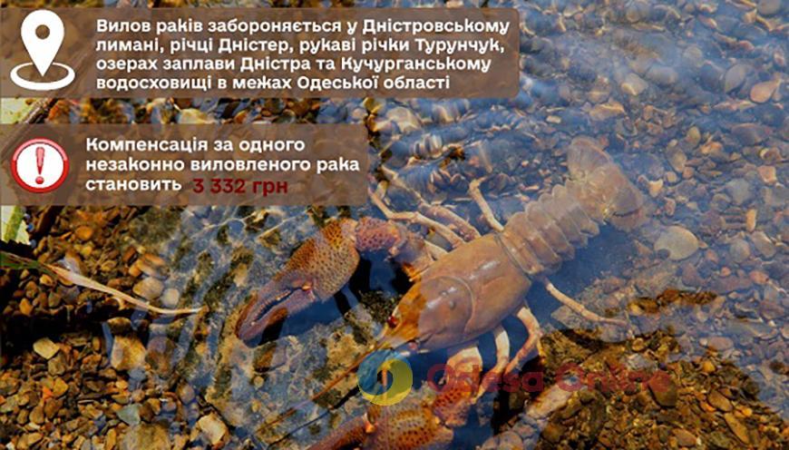 С 25 февраля в днестровских водоемах Одесской области стартует запрет на вылов раков