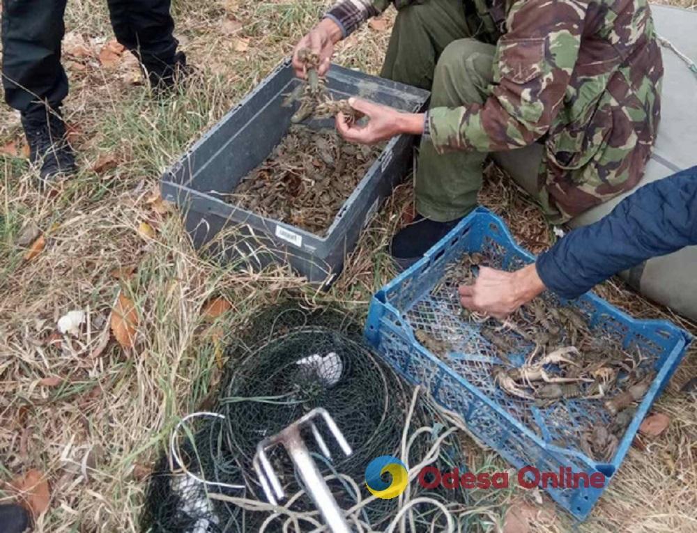 Одещина: браконьєрів, які наловили раків на один мільйон гривень, оштрафували на 17 тисяч