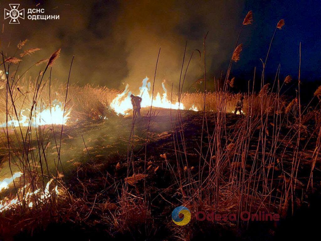 В Одесской области женщина выплатила более 3 тысяч гривен штрафа за поджигание травы