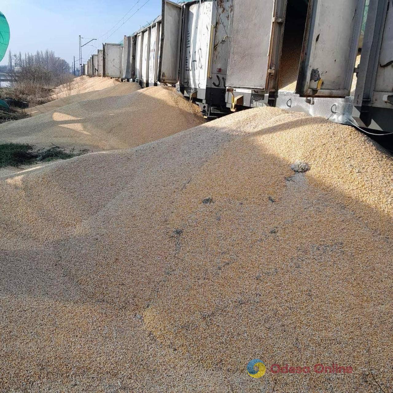 На польской железнодорожной станции высыпали 160 тонн украинского зерна (фото)