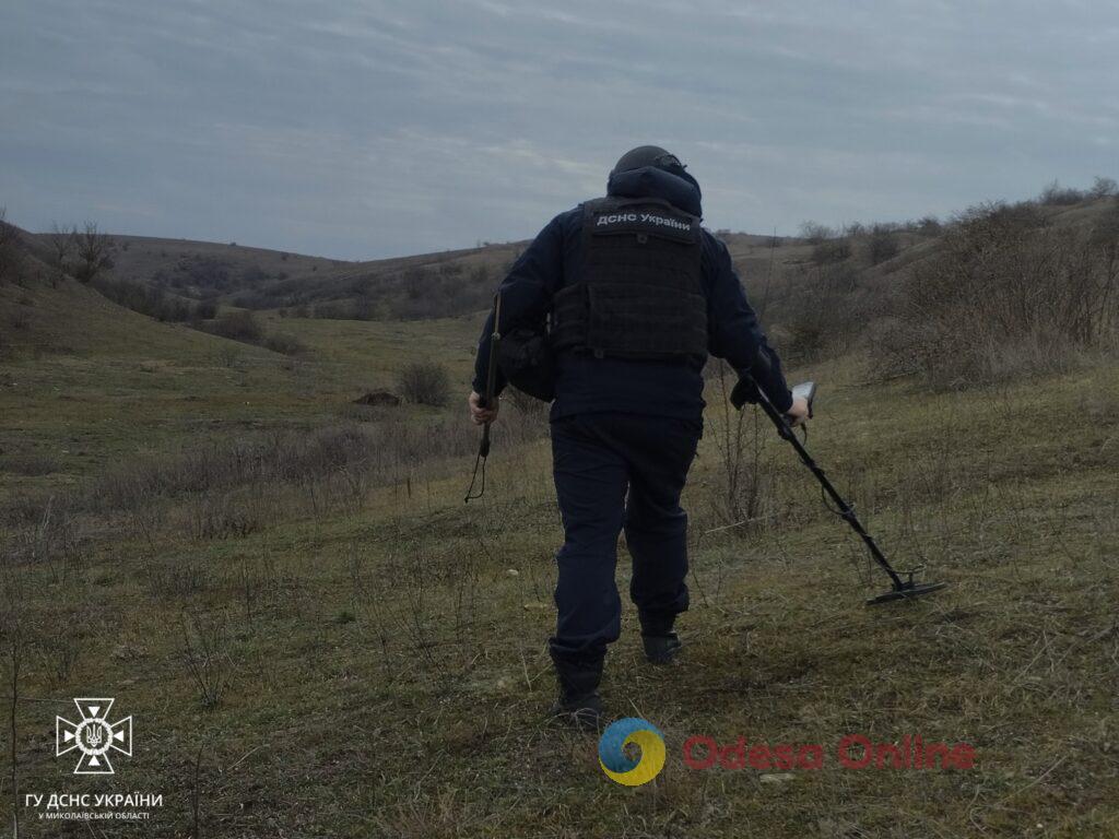 В Николаевской области на противопехотной мине подорвалась корова