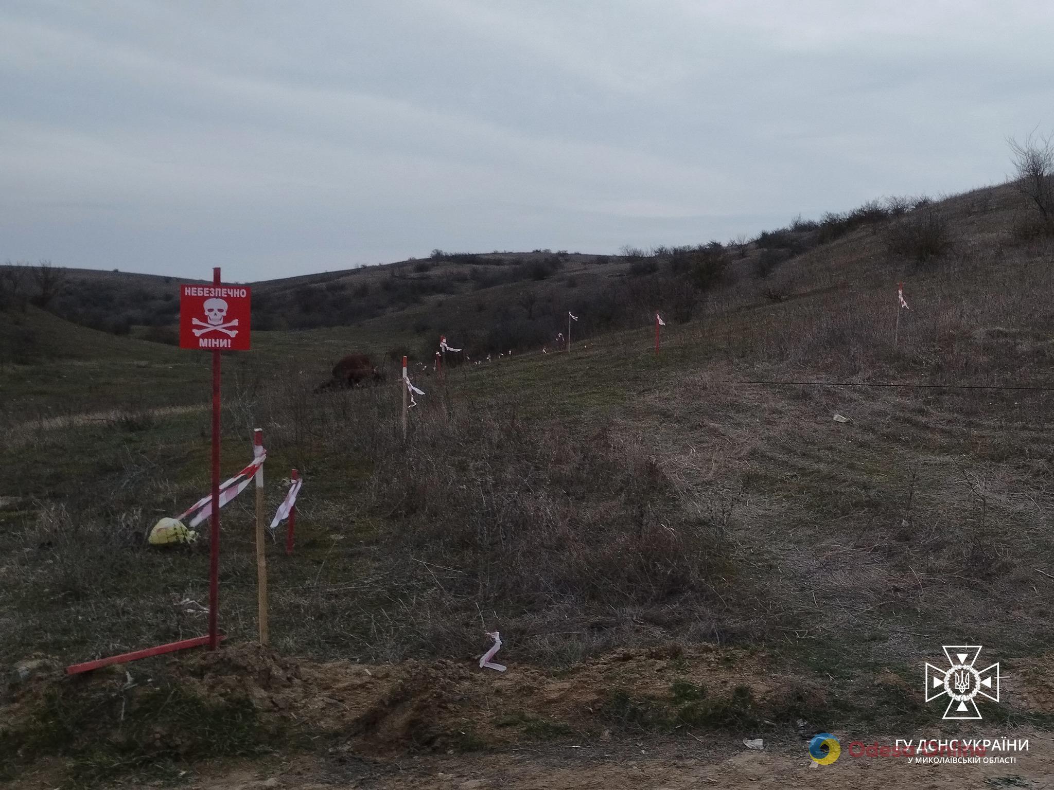 В Николаевской области на противопехотной мине подорвалась корова