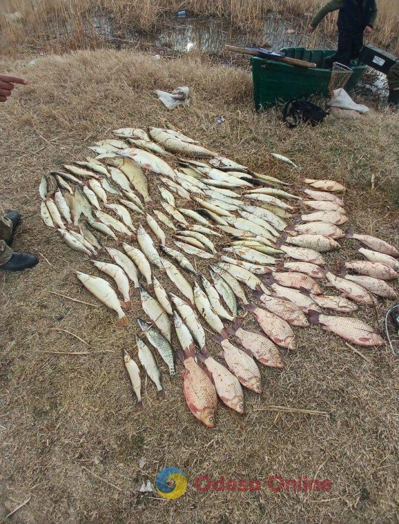 В Одесской области браконьеры выловили электроудочкой 40 килограммов рыбы