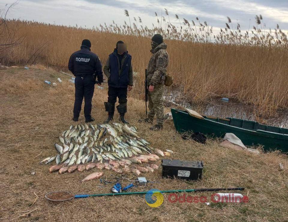 В Одесской области браконьеры выловили электроудочкой 40 килограммов рыбы