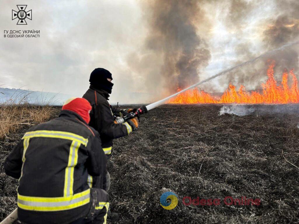 Масштабна пожежа на Одещині: У Березівському районі горить очерет та суха трава (фото)