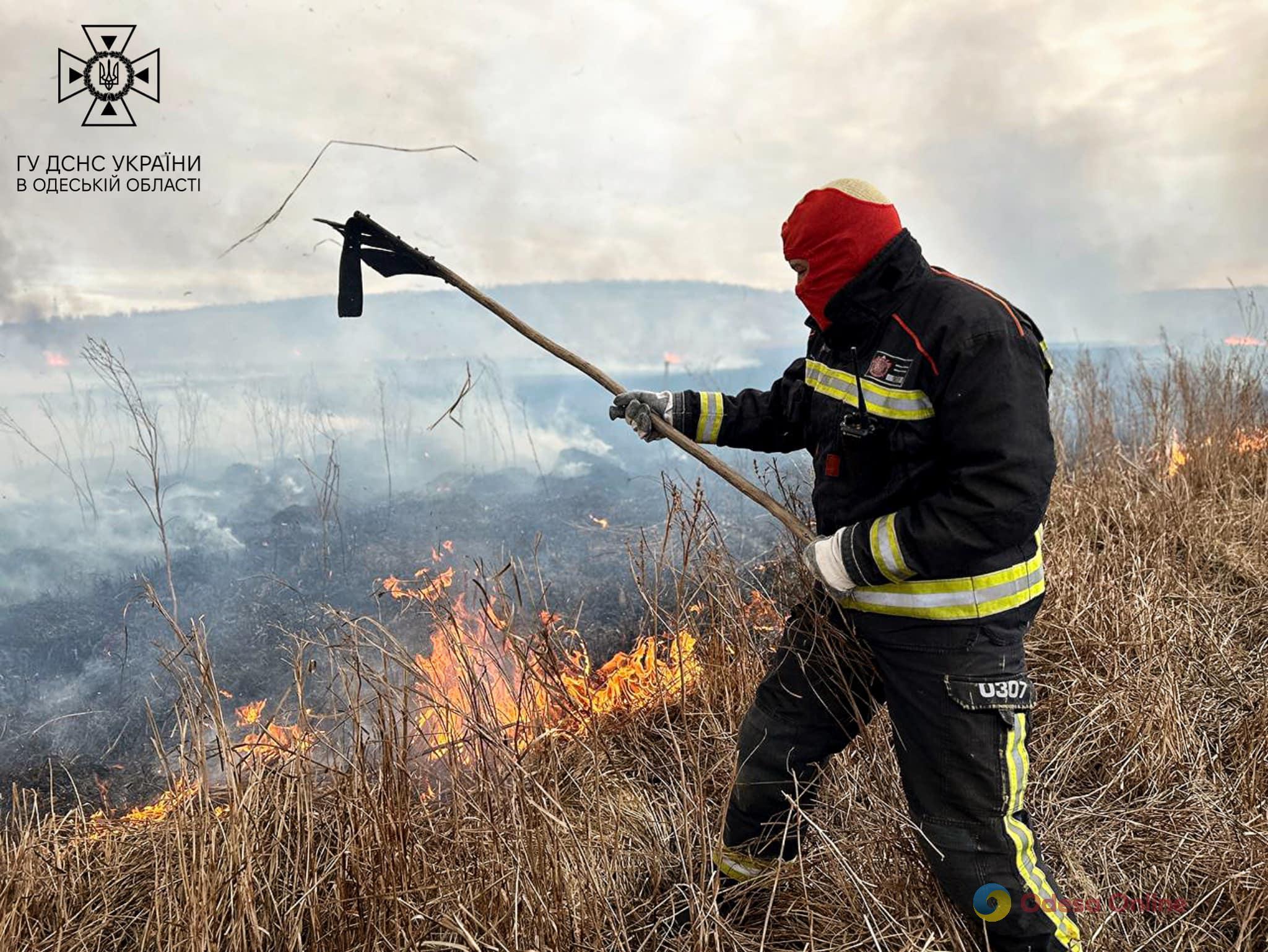 Масштабный пожар в Одесской области: в Березовском районе горит камыш и сухая трава (фото)