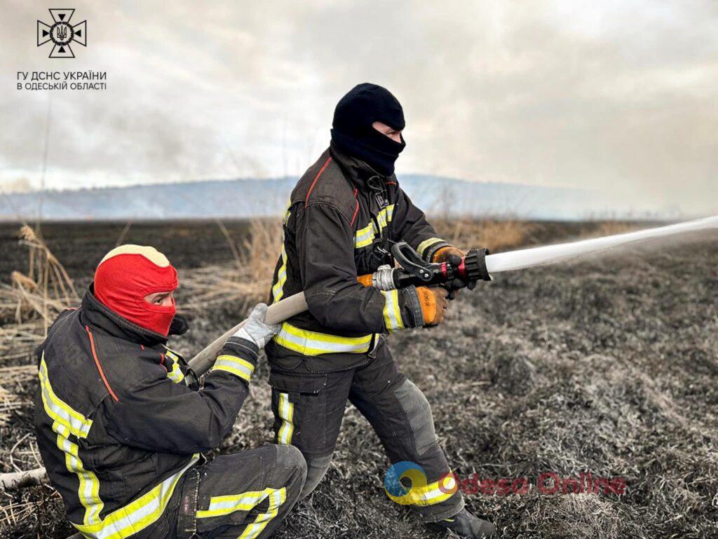 Масштабна пожежа на Одещині: У Березівському районі горить очерет та суха трава (фото)