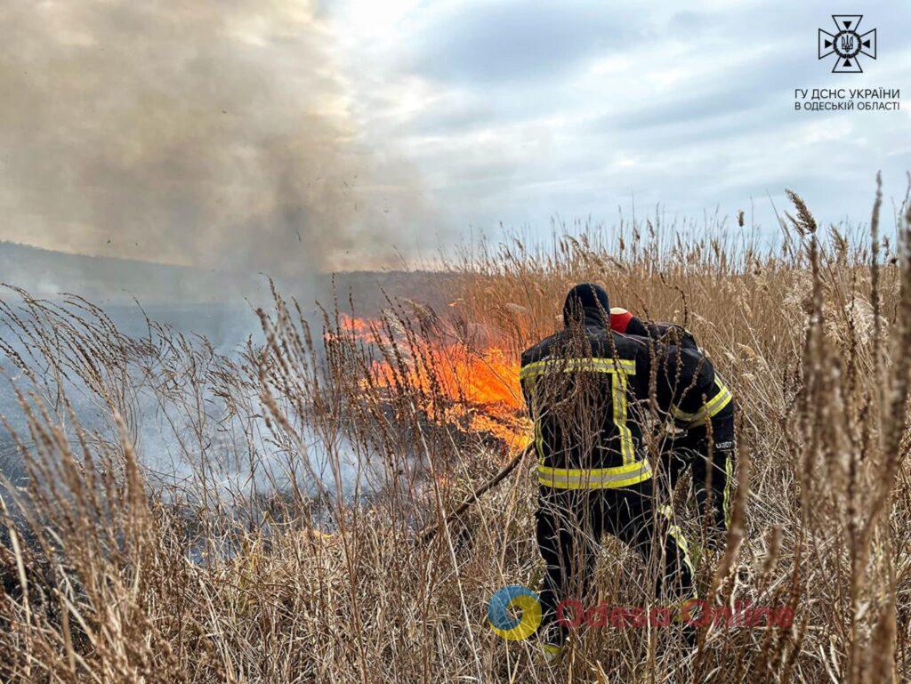 Масштабный пожар в Одесской области: в Березовском районе горит камыш и сухая трава (фото)