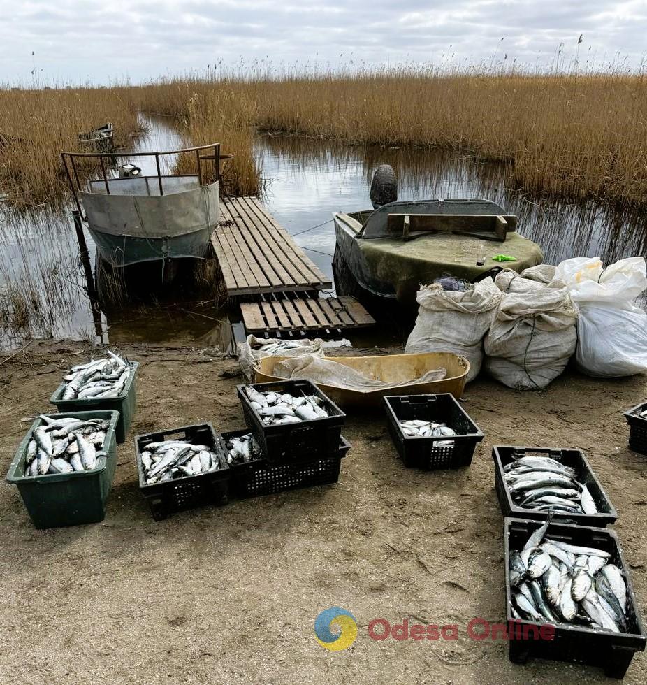 На Одещині браконьєри наловили риби майже на 3 мільйона гривень