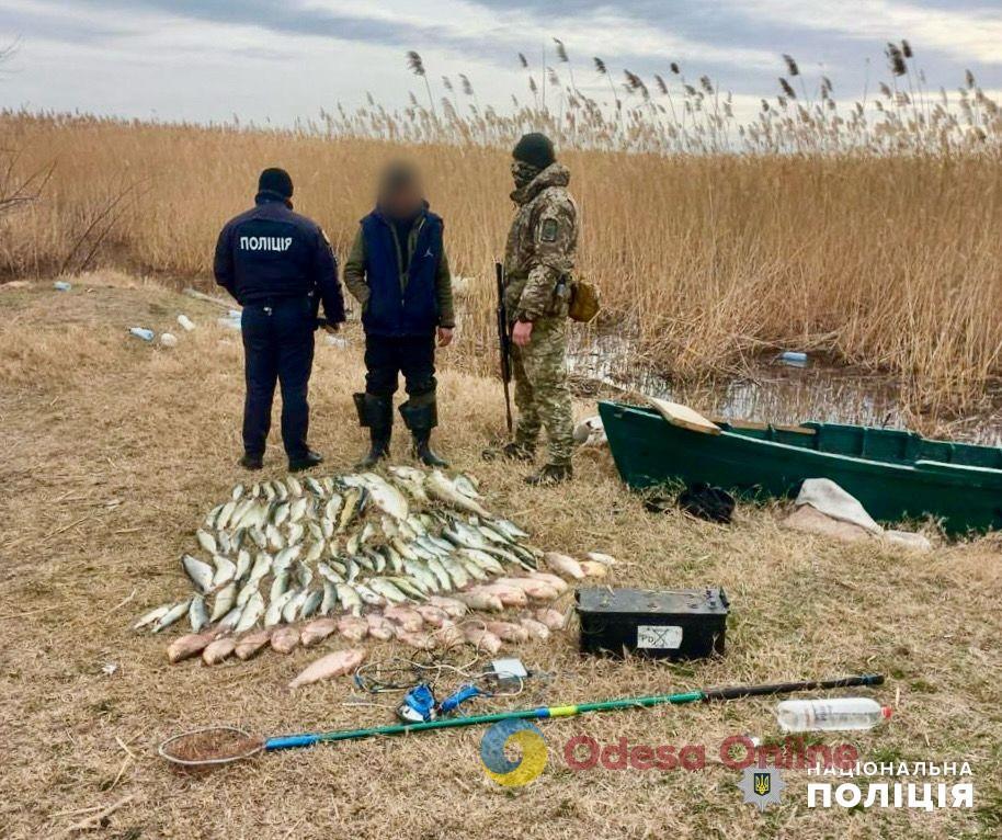 В Одесской области поймали браконьеров, которые выловили электроудочкой рыбы на 370 тысяч гривен