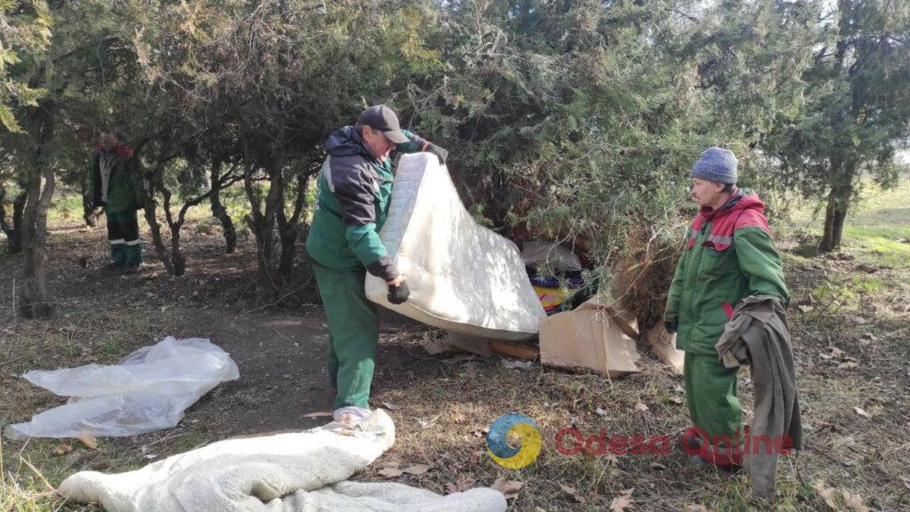 Одеські зелені зони приводять до ладу