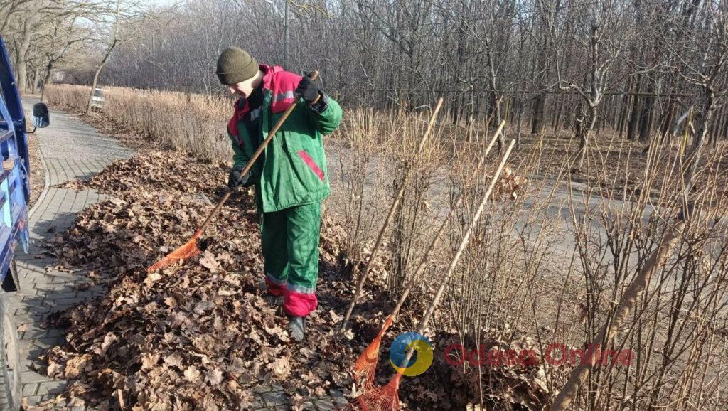 Одеські зелені зони приводять до ладу