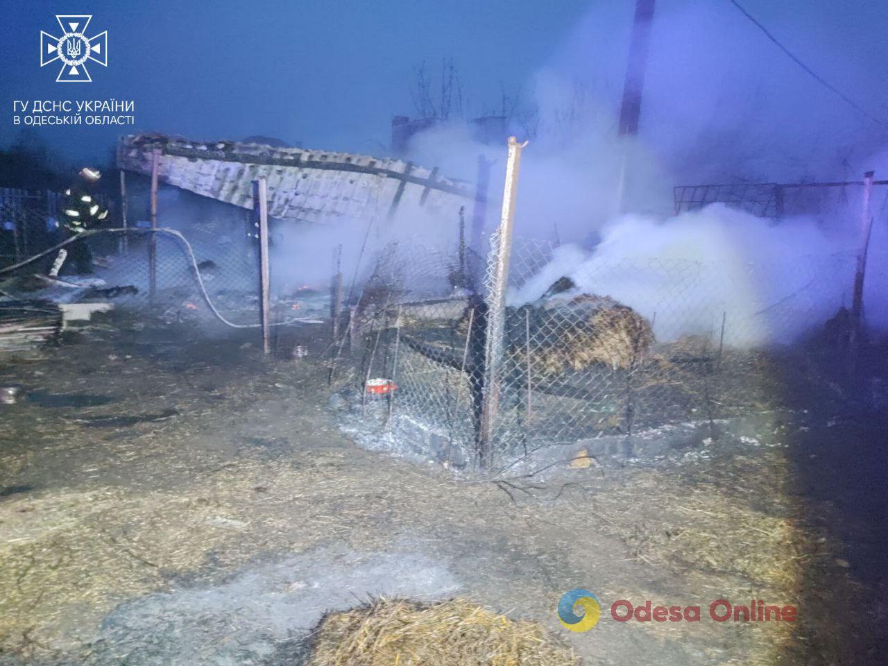 Під час пожежі в Одеському районі загинули свині, кролики, кури та качки