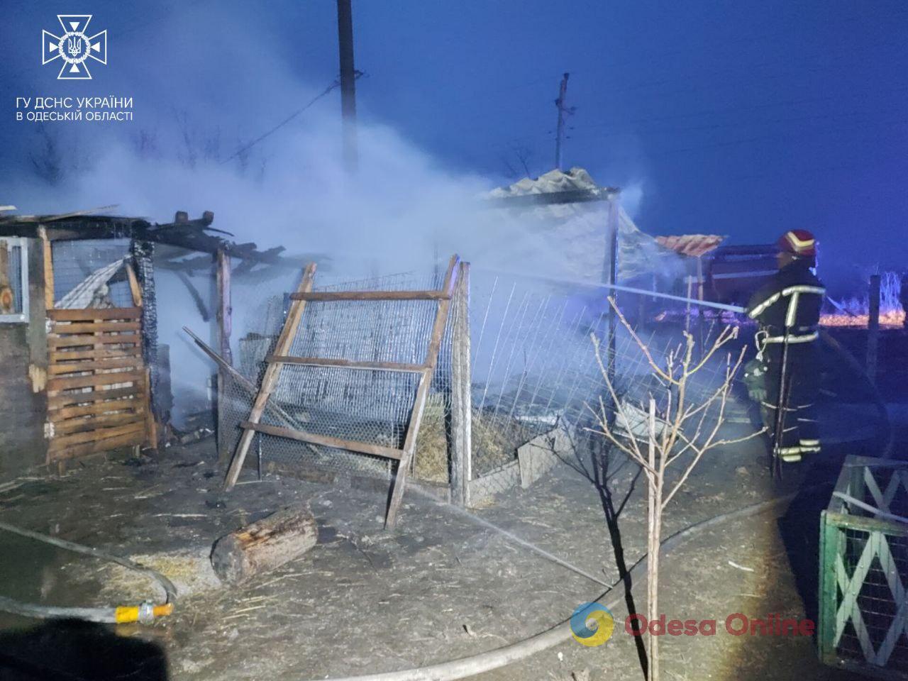 Во время пожара в Одесском районе погибли свиньи, кролики, куры и утки