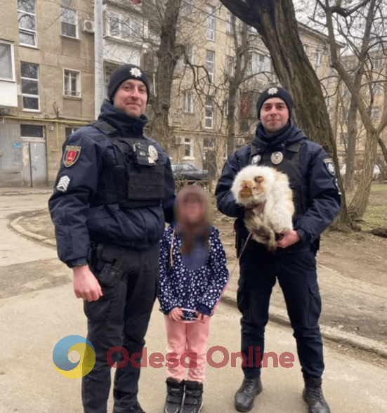 Одесские патрульные спасли кошку, застрявшую под капотом авто (видео)