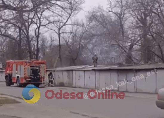 Одесса: возле Второго Христианского кладбища тушили пожар (видео)