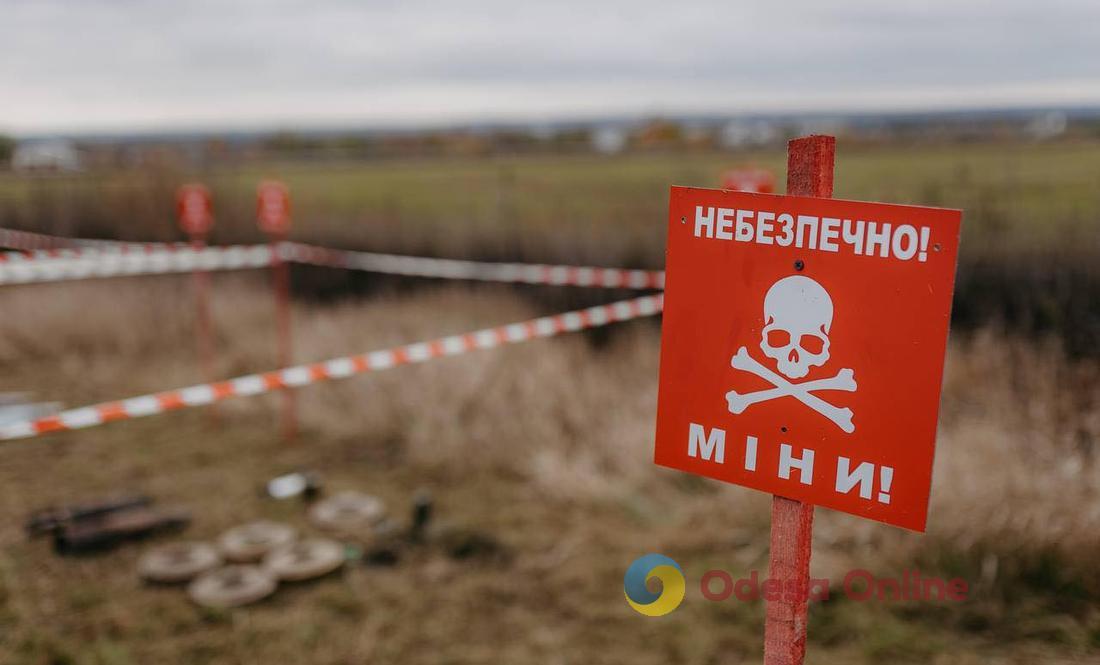 В Херсонской области двое мужчин подорвались на вражеских минах
