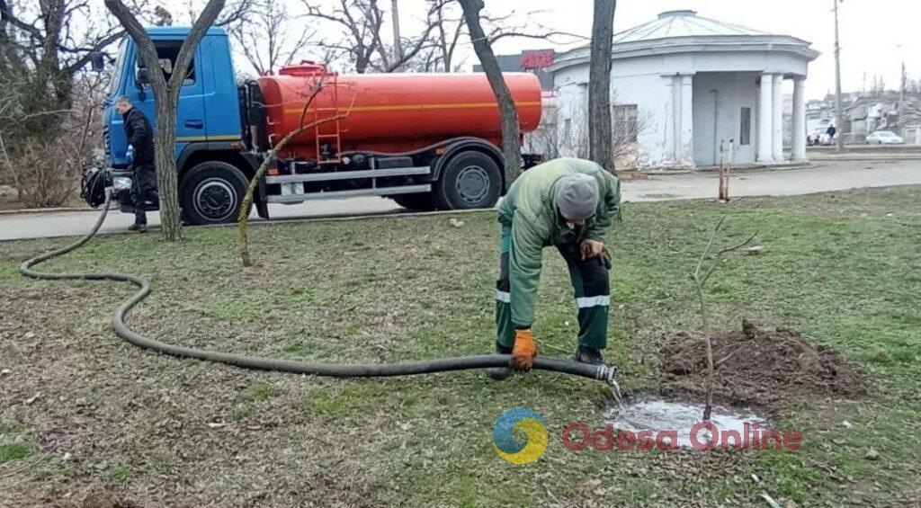 В Одесі озеленювачі розпочали весняне висадження дерев