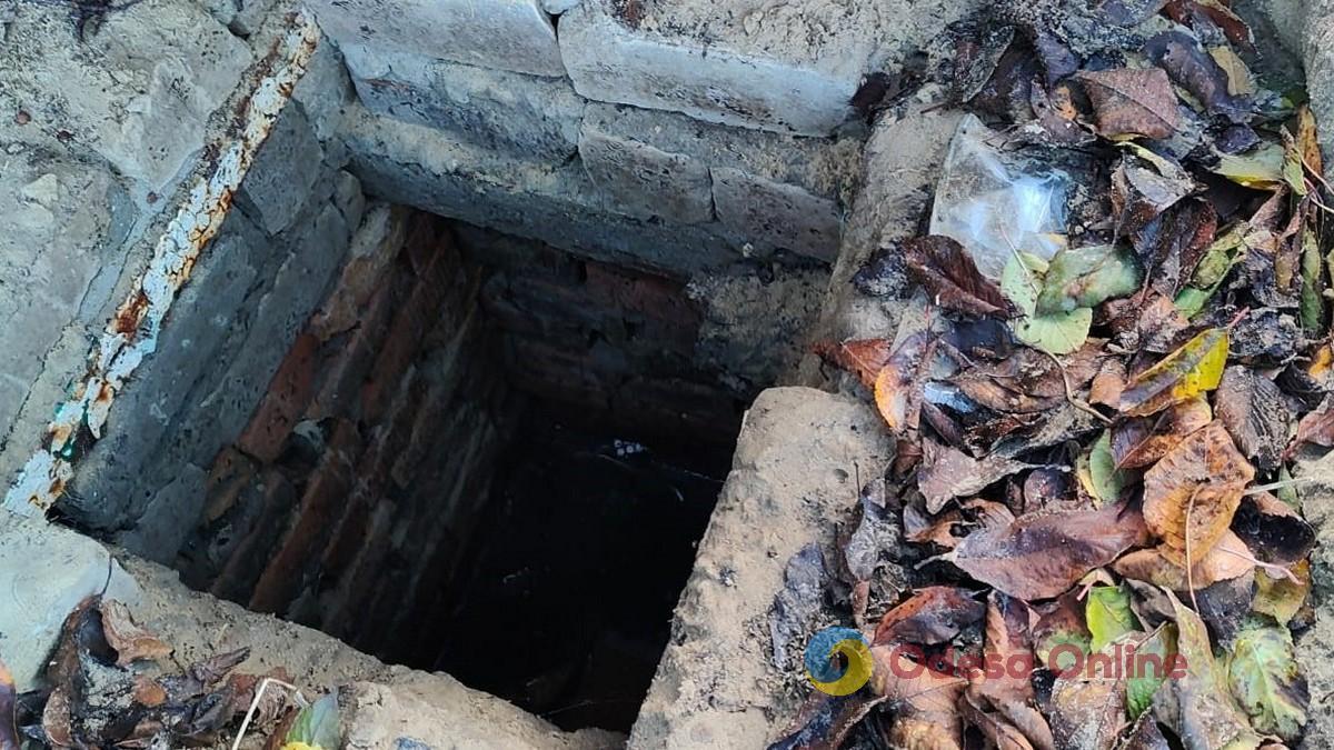 В Одесской области мужчина провалился в выгребную яму