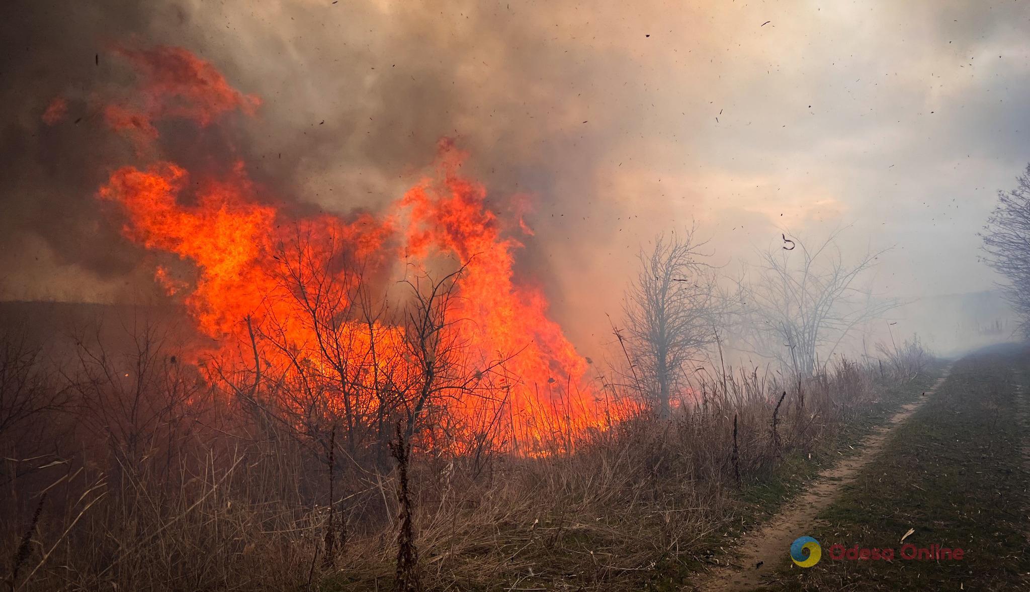 В Одесской области бушуют пожары на открытой местности