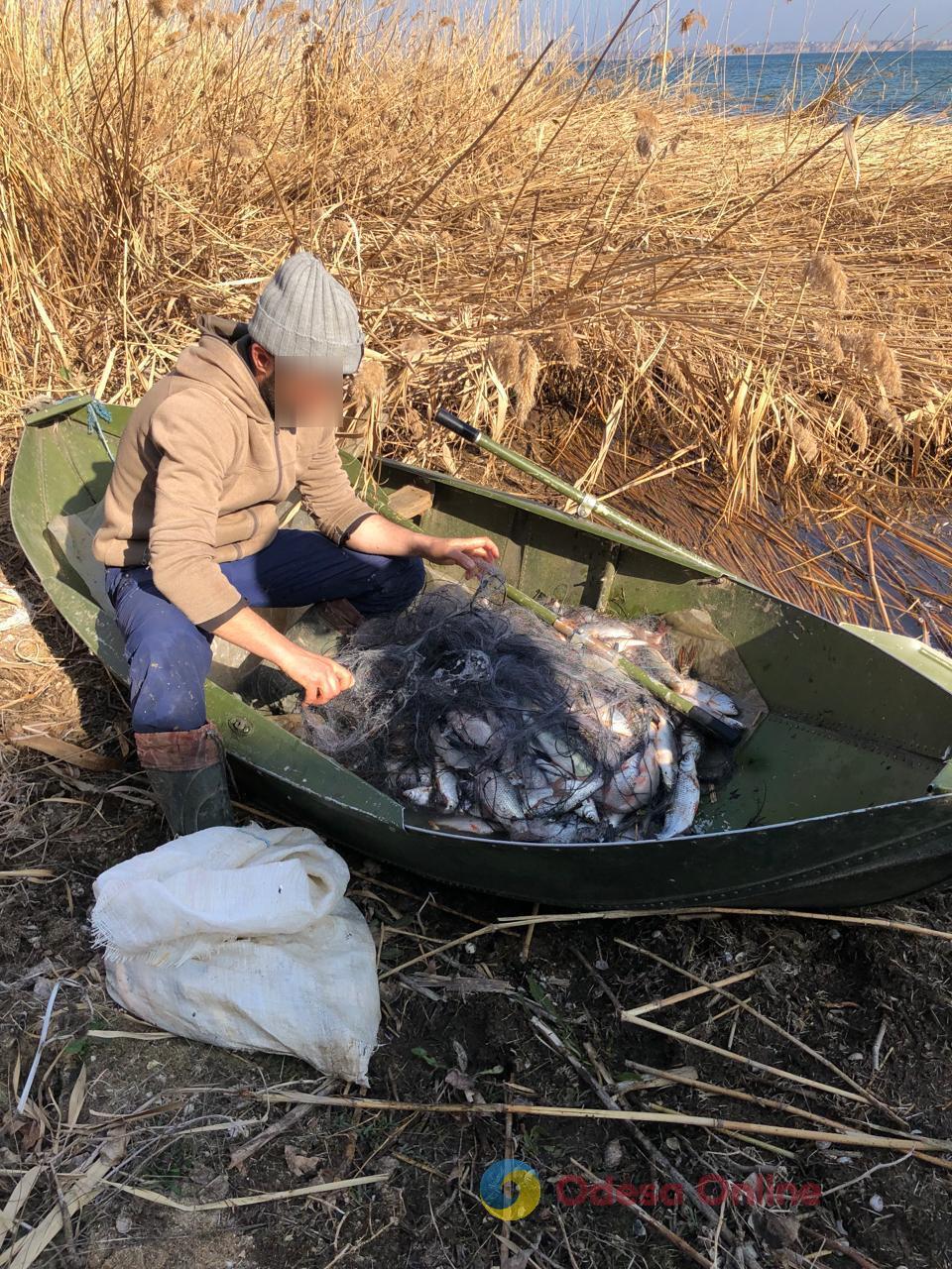 На Одещині браконьєр наловив риби на 421 тисячу гривень