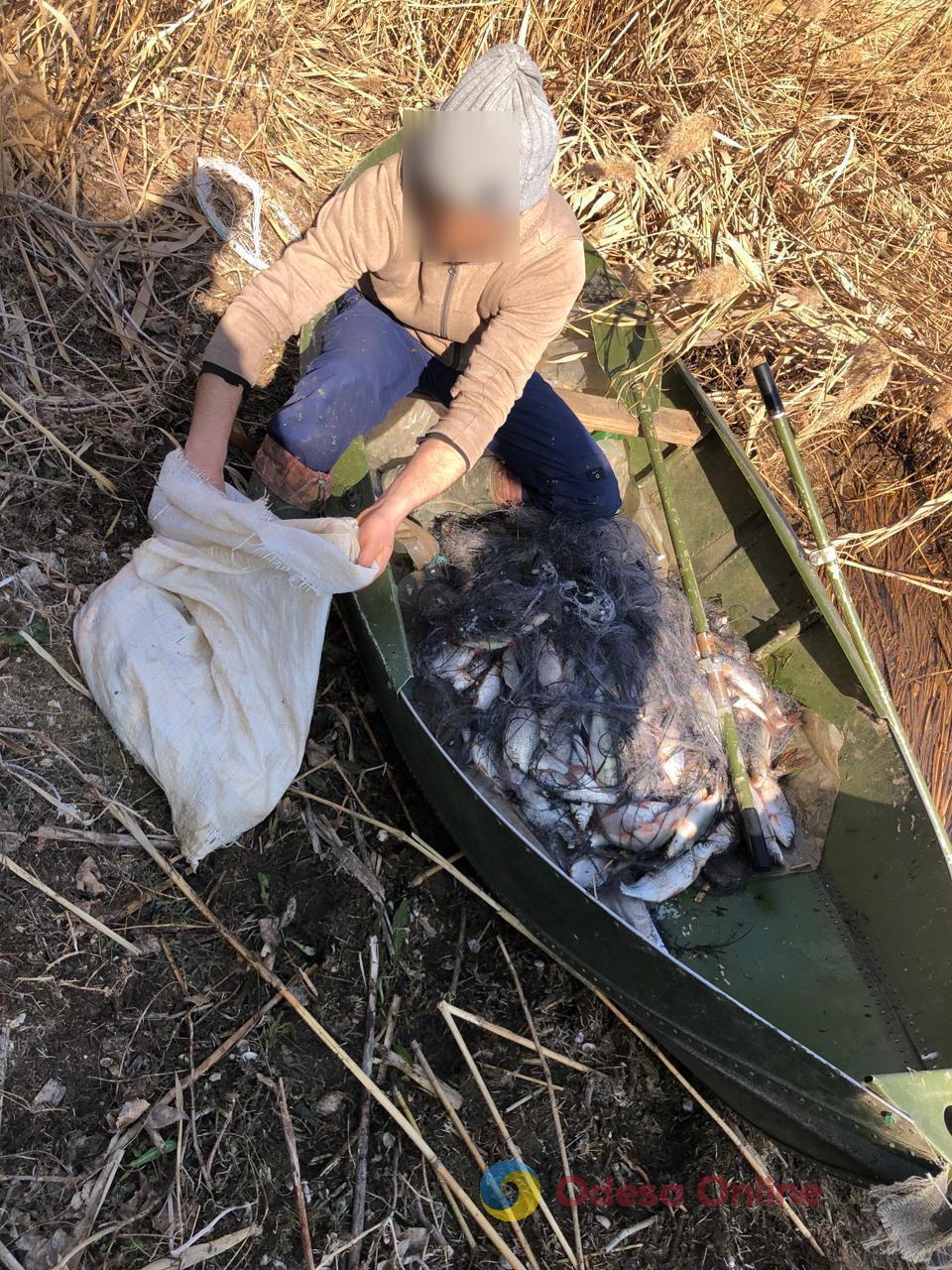 На Одещині браконьєр наловив риби на 421 тисячу гривень