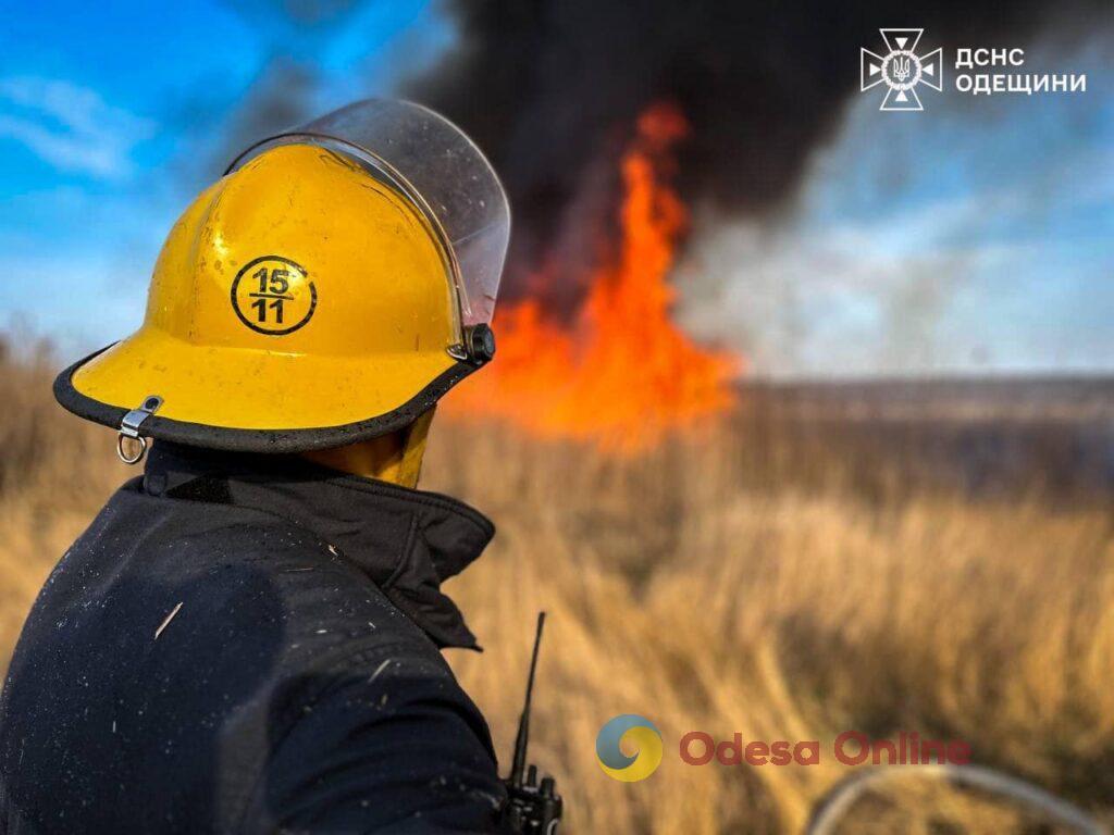 В Одесской области с начала месяца выгорел 61 гектар земли