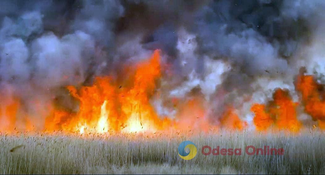 В Одесской области с начала месяца выгорел 61 гектар земли