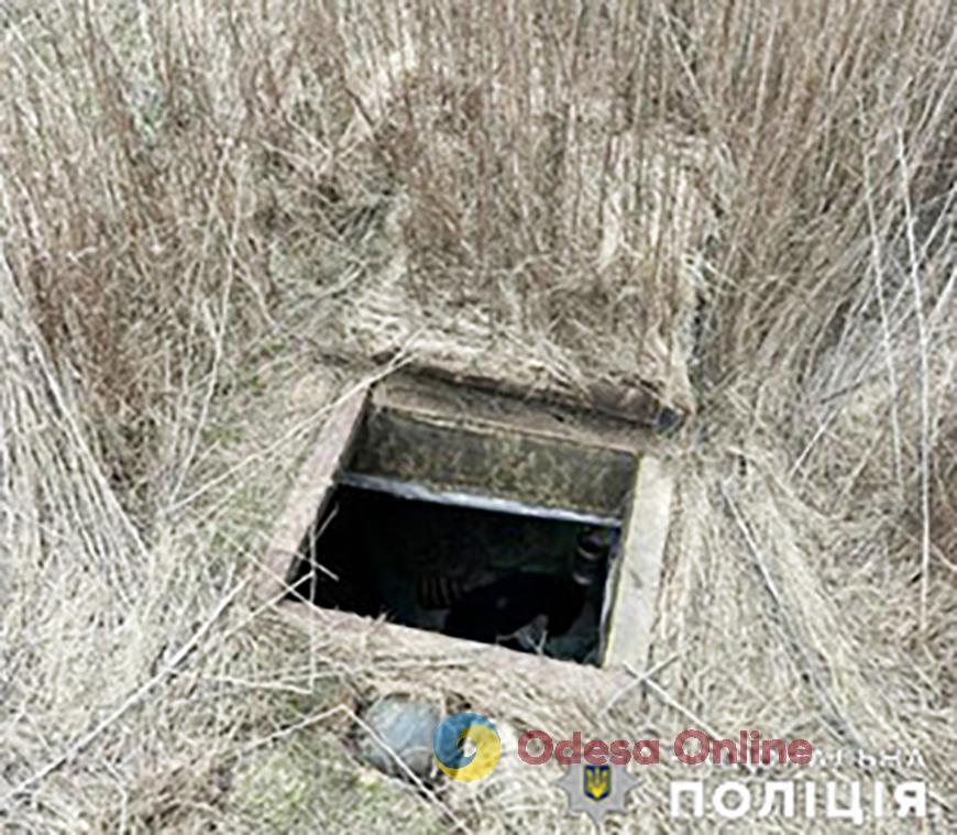 Житель Николаевской области украл восьмилетнюю девочку и утащил в землянку на поле