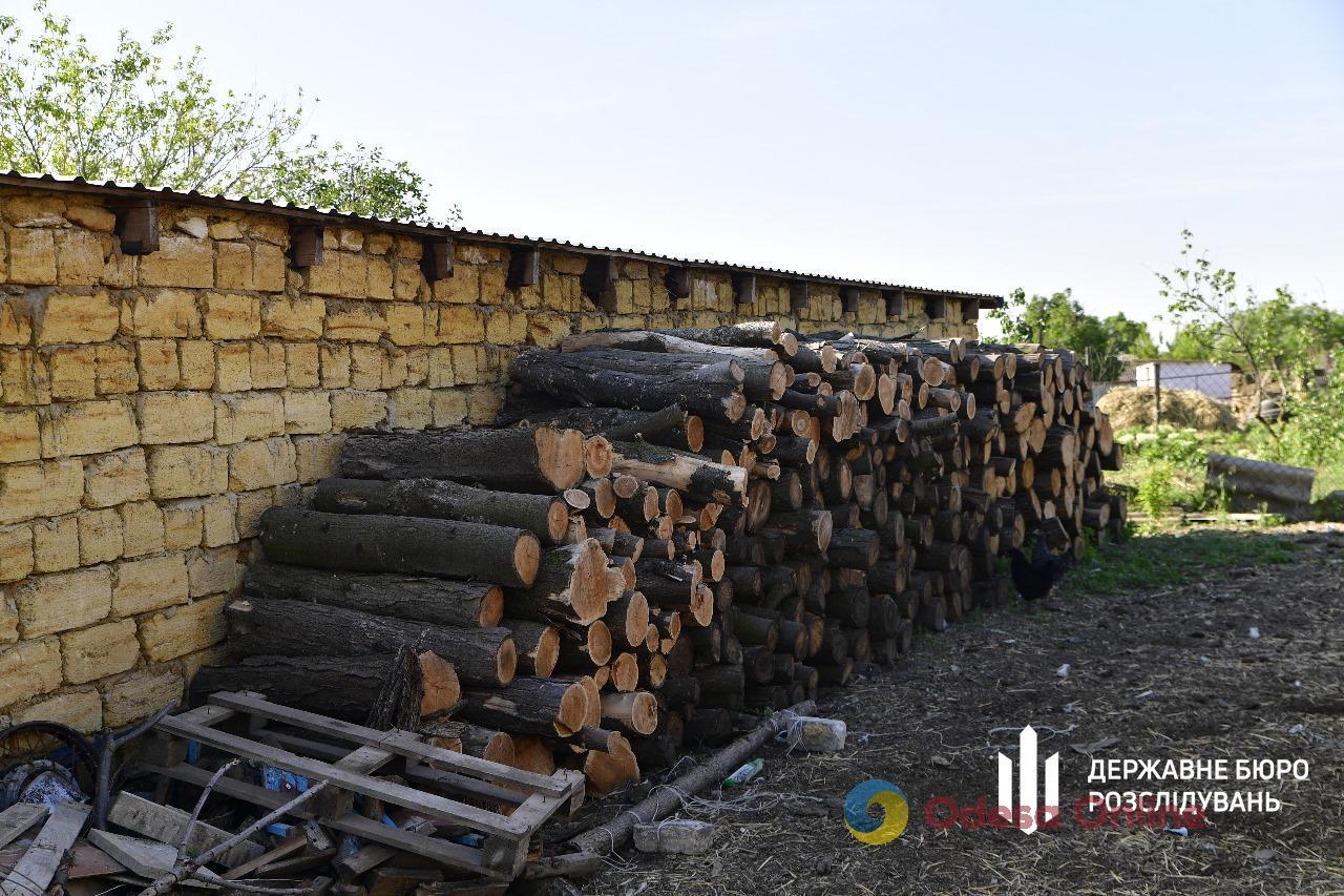 Чиновника лесхоза будут судить за вырубку деревьев в Нацпарке Одесской области