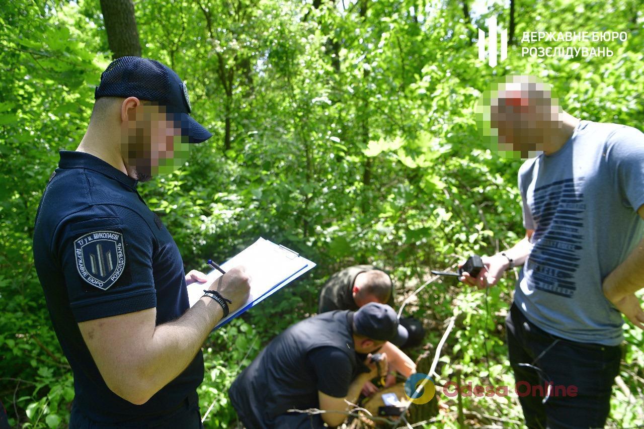 Посадовця лісгоспу судитимуть за вирубку дерев у Нацпарку на Одещині