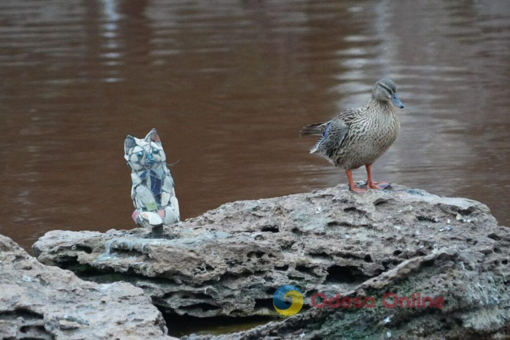 Первый день весны в Одессе: прогулки у моря, сонные коты и подснежники (фотозарисовка)