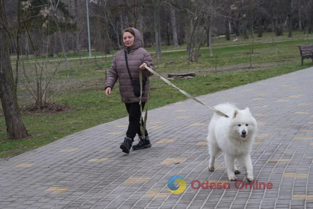 Первый день весны в Одессе: прогулки у моря, сонные коты и подснежники (фотозарисовка)