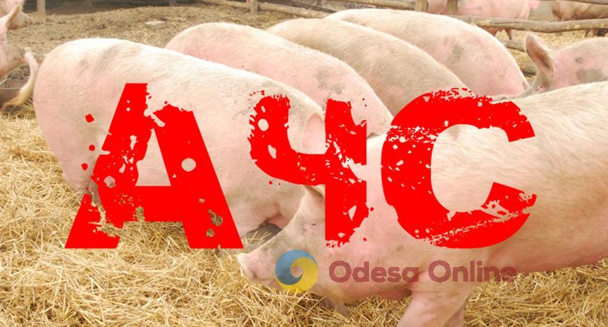 На Одещині виявили африканську чуму свиней
