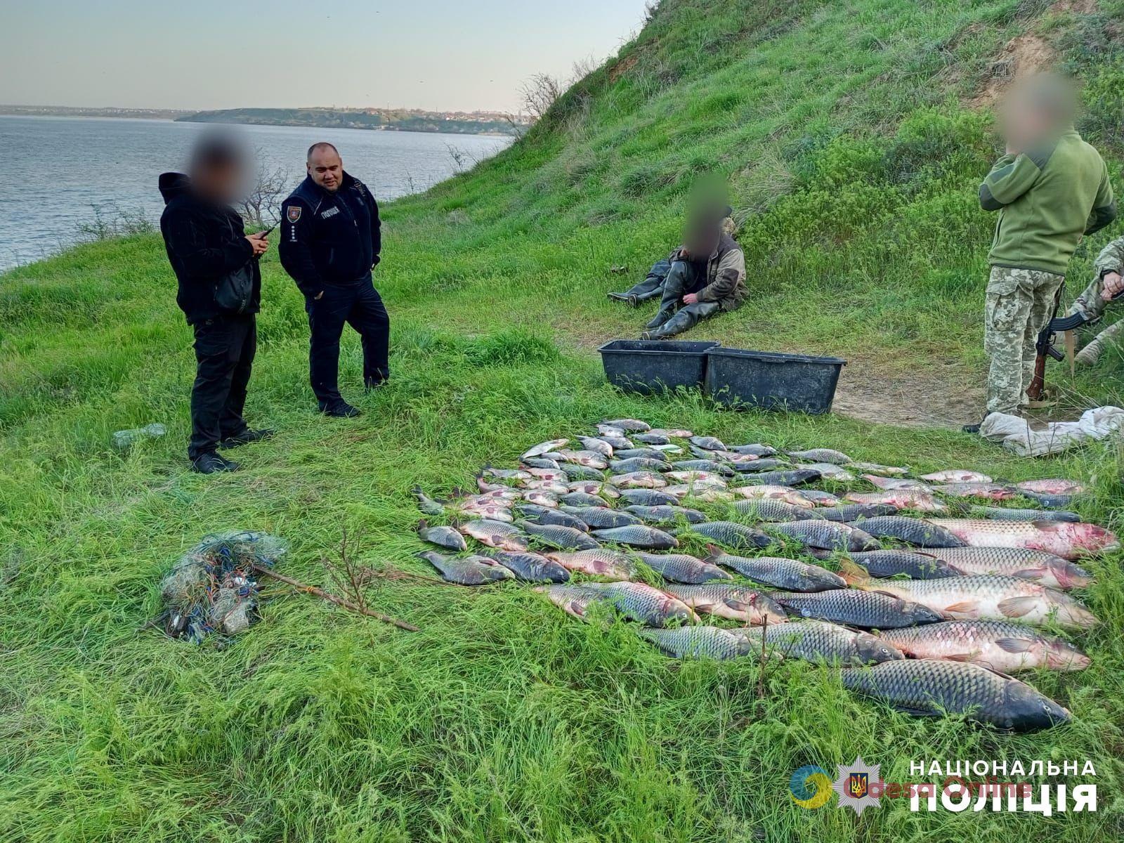 На Днестровском лимане браконьеры наловили рыбы на 230 тысяч гривен