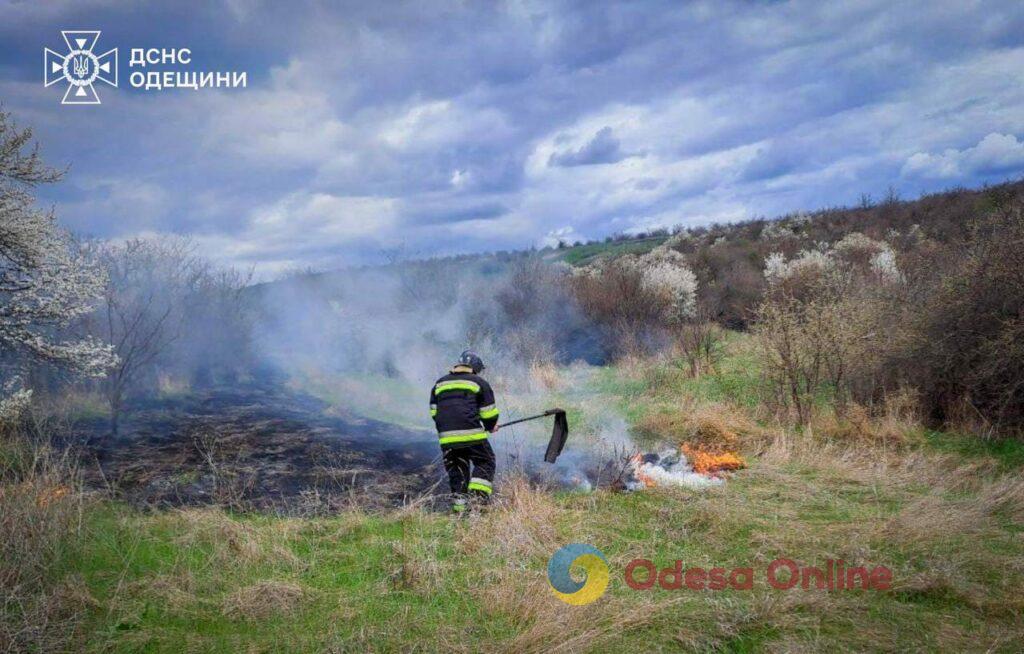В Одесской области оштрафовали поджигателя сухостоя