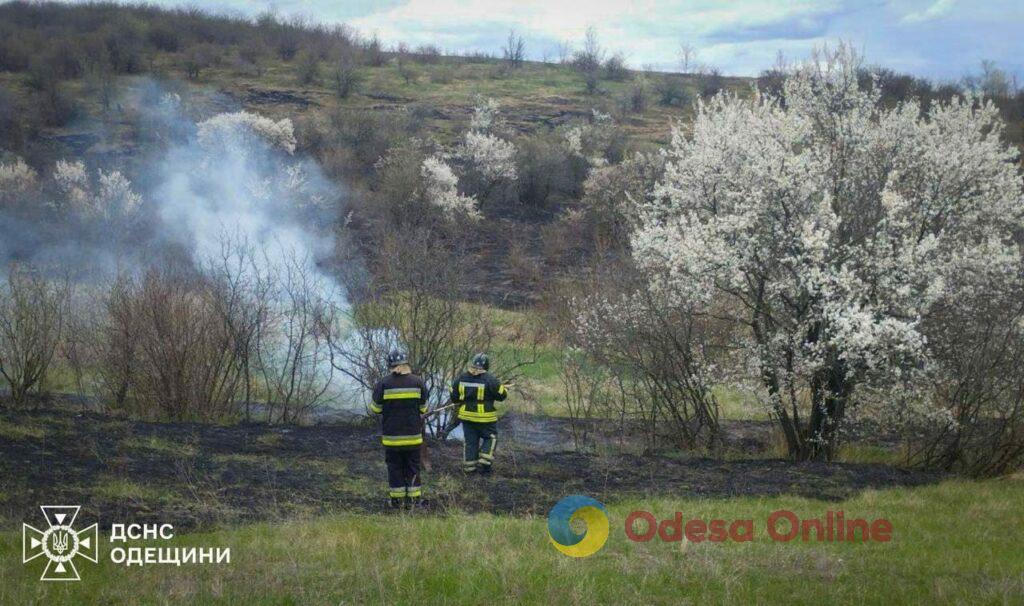 На Одещині оштрафували палія сухостою